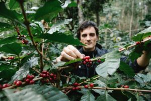 Where Are Kona Coffee Plants Grown