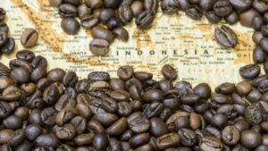 Indonesian Coffee