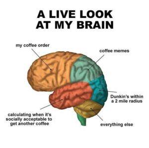 A Look At My Brain