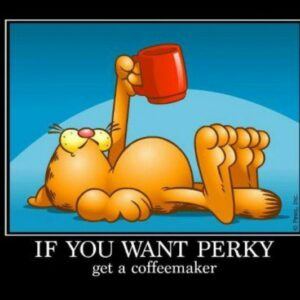 Get Perky