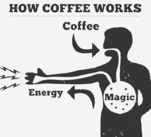 How Coffee Works