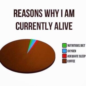Reasons For Being Alive