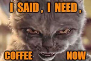 When You Cat Needs Coffee