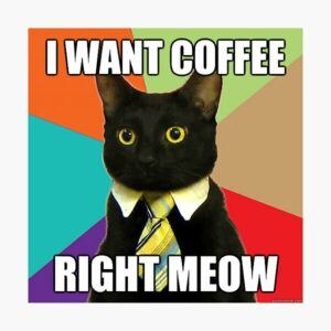 When Your Cat Wants Coffee