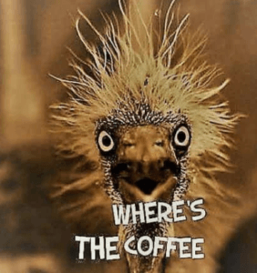 Where Is The Coffee