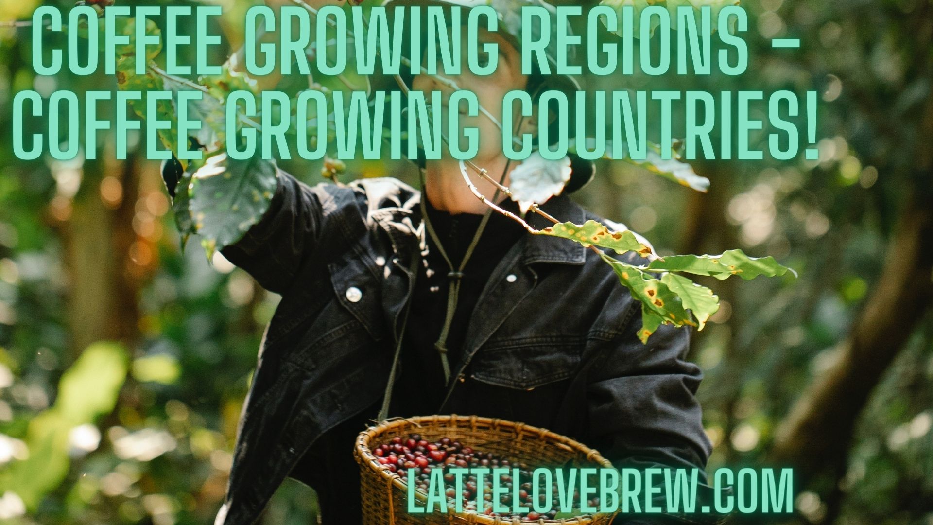 Coffee Growing Regions - Coffee Growing Countries! - Latte Love Brew