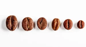 Different Coffee Beans
