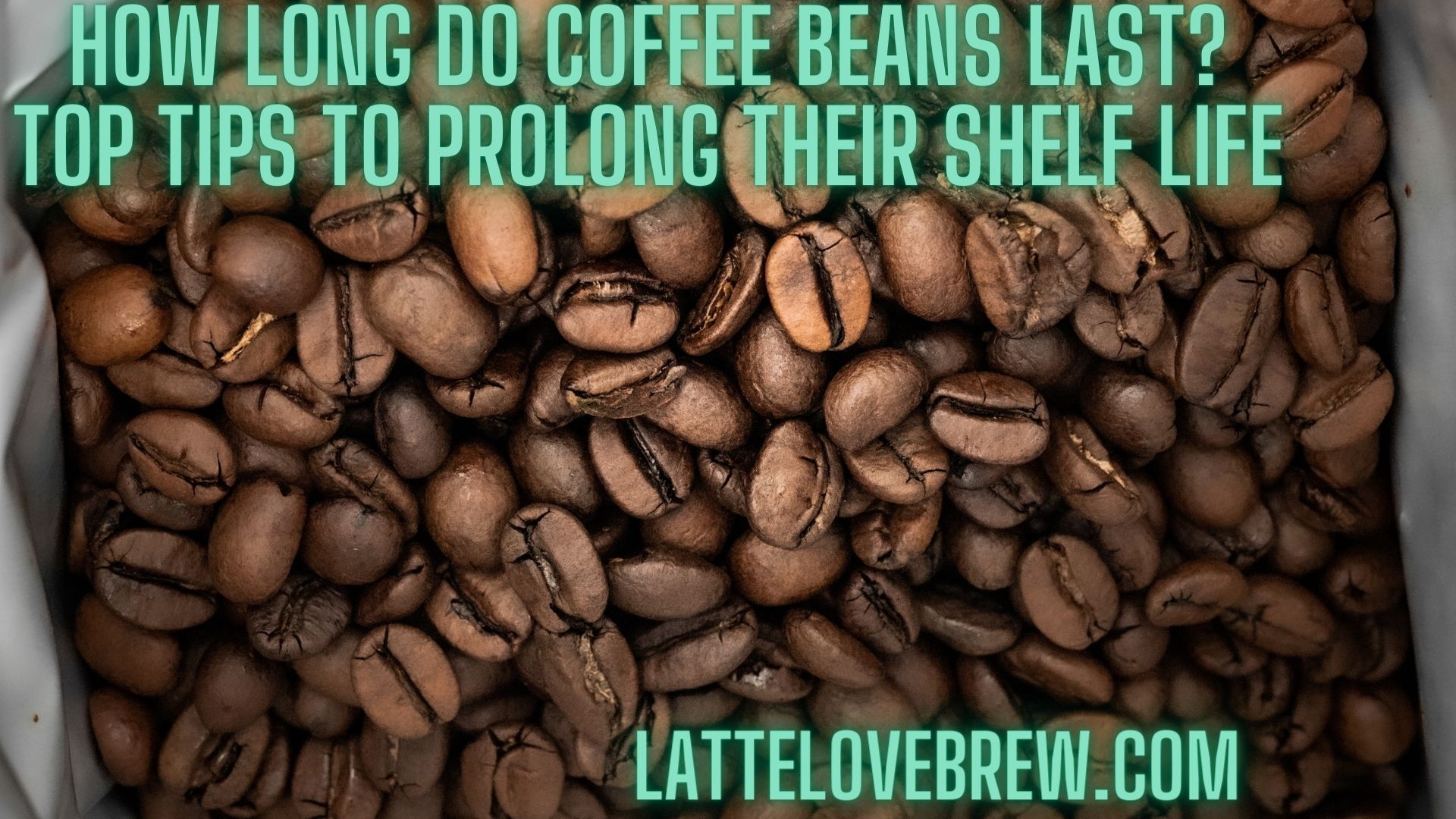How Long Do Coffee Beans Last? Top Tips To Prolong Their Shelf Life