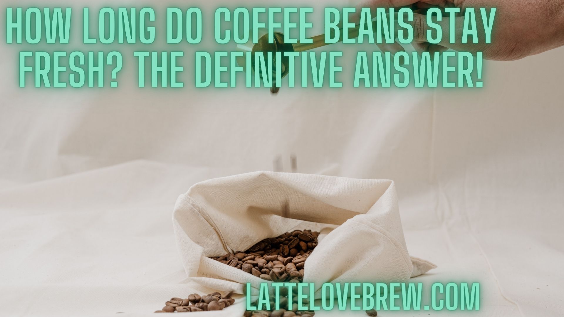 How Long Do Coffee Beans Stay Fresh? The Definitive Answer! Latte