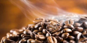 Is Eating Coffee Beans Bad For You