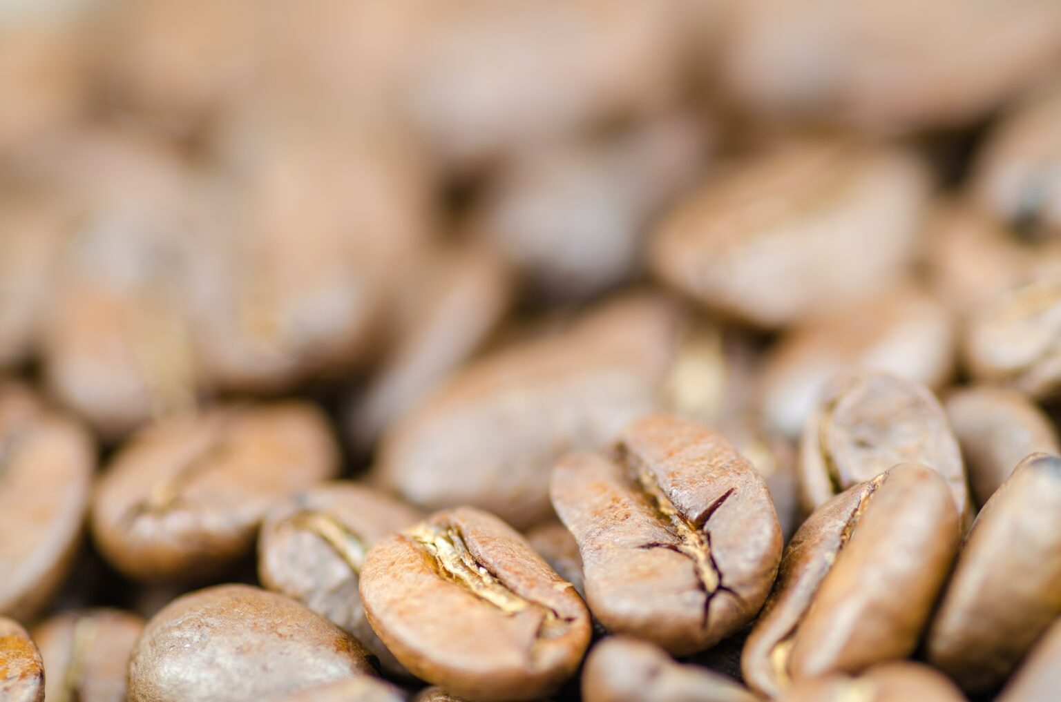 What Roast Is The Strongest Coffee? Which Is The Caffeine King? Latte Love Brew