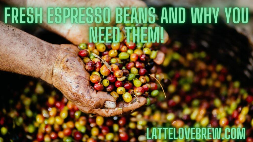 Fresh Espresso Beans And Why You Need Them!