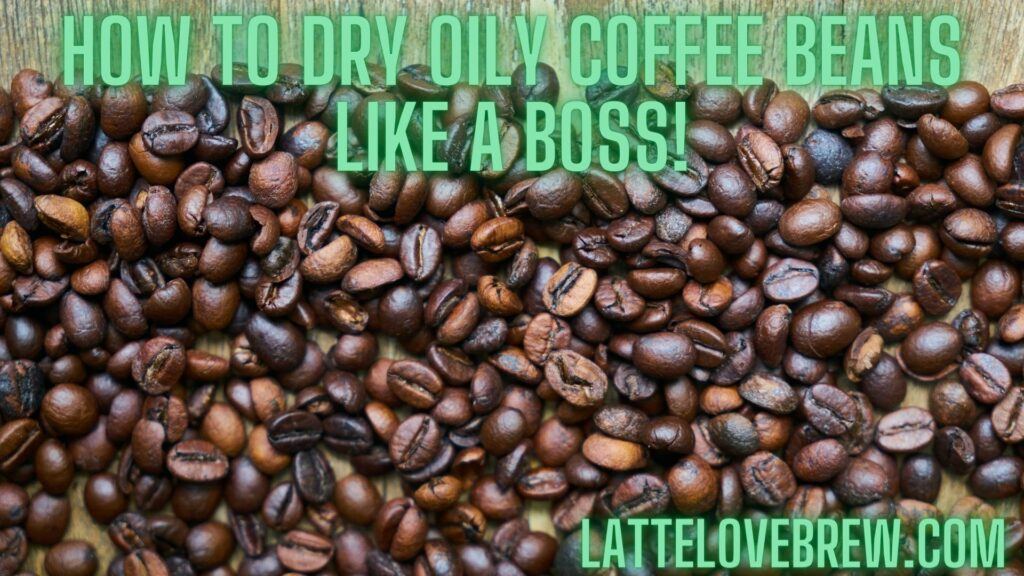 How To Dry Oily Coffee Beans Like A Boss!