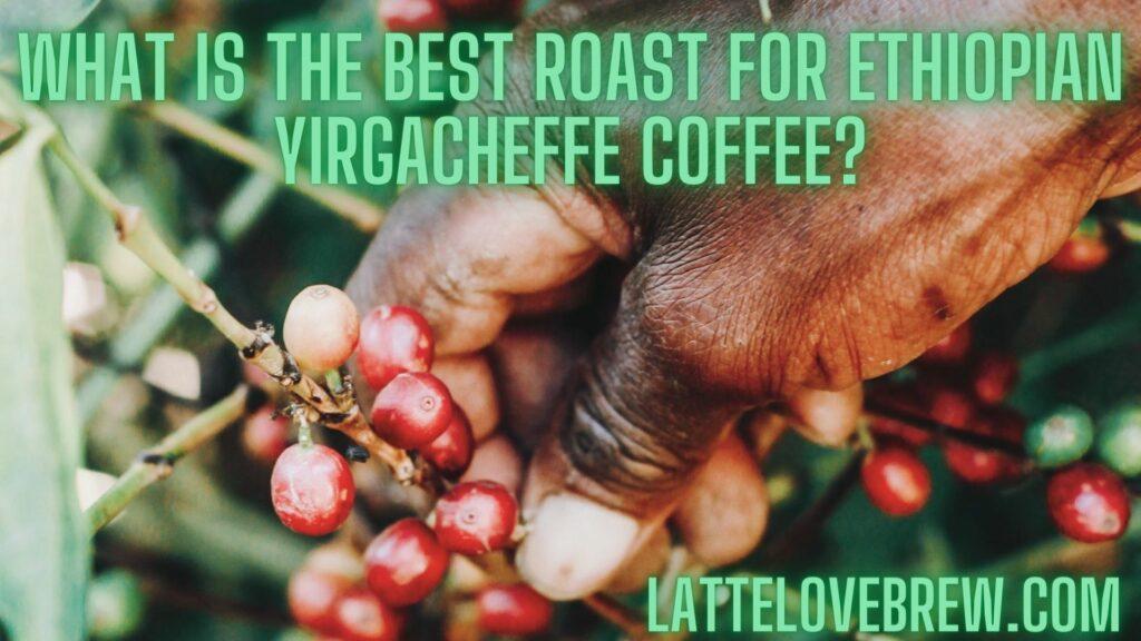 What Is The Best Roast For Ethiopian Yirgacheffe Coffee