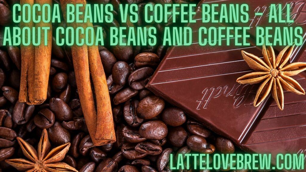 Cocoa Beans Vs Coffee Beans - All About Cocoa Beans And Coffee Beans