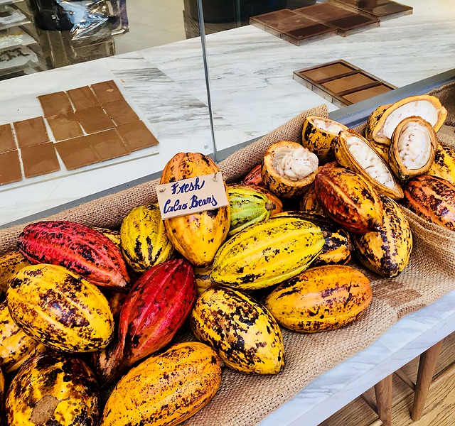 Cocoa Beans Vs Coffee Beans All About Cocoa Beans And Coffee Beans