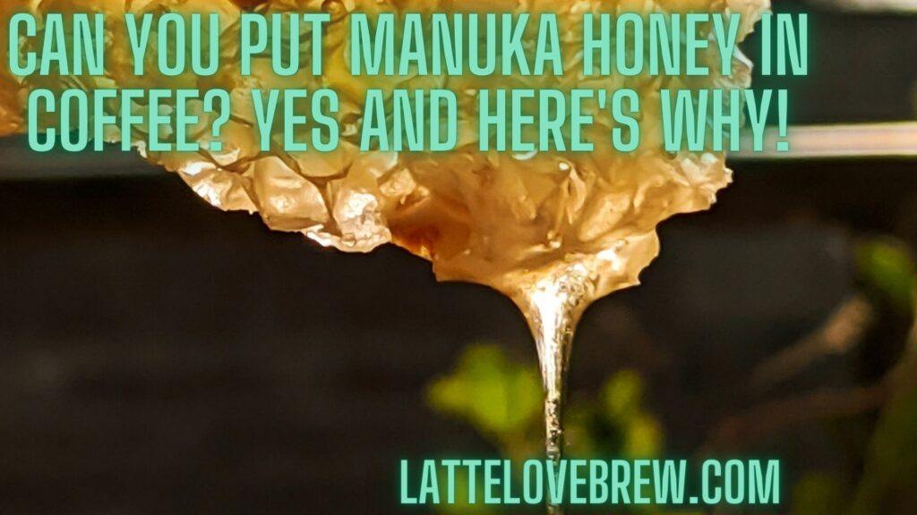 Can You Put Manuka Honey In Coffee Yes and Here's Why