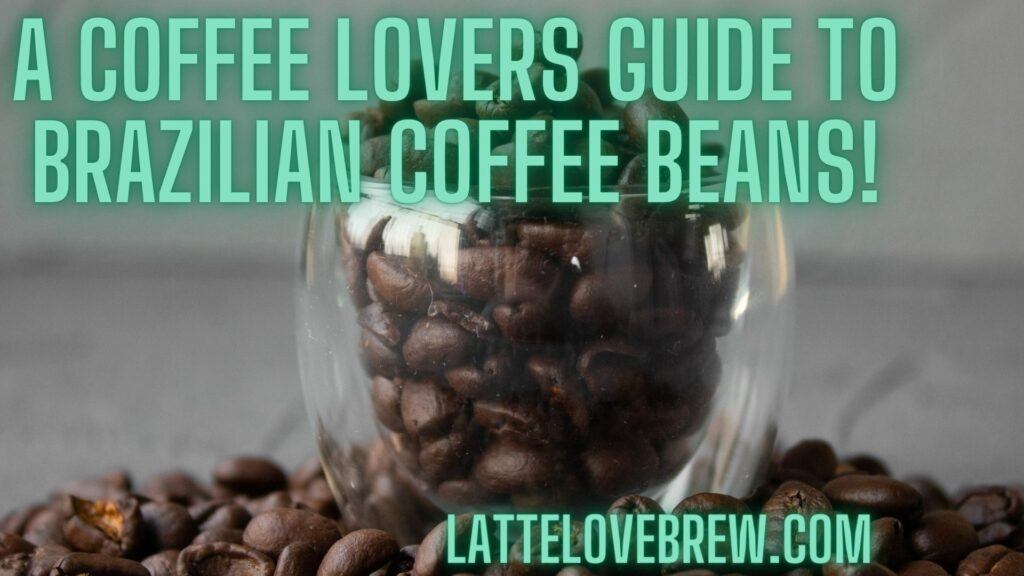A Coffee Lovers Guide To Brazilian Coffee Beans!