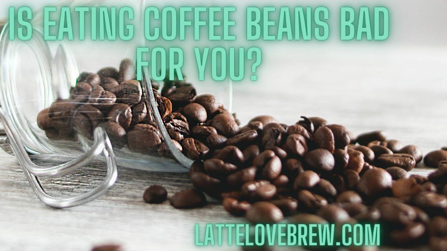 Is Eating Coffee Beans Bad For You? Latte Love Brew