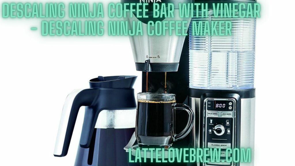 Descaling Ninja Coffee Bar With Vinegar - Descaling Ninja Coffee Maker