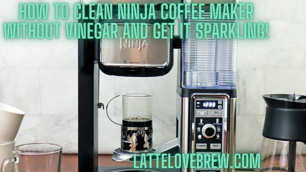How To Clean Ninja Coffee Maker Without Vinegar And Get It Sparkling!