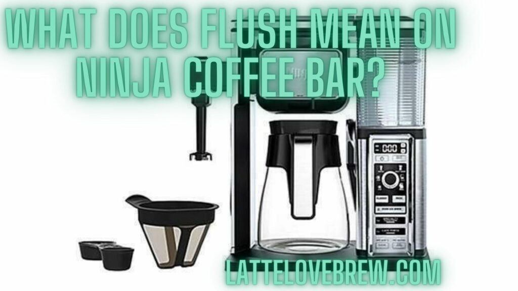 What Does Flush Mean On Ninja Coffee Bar