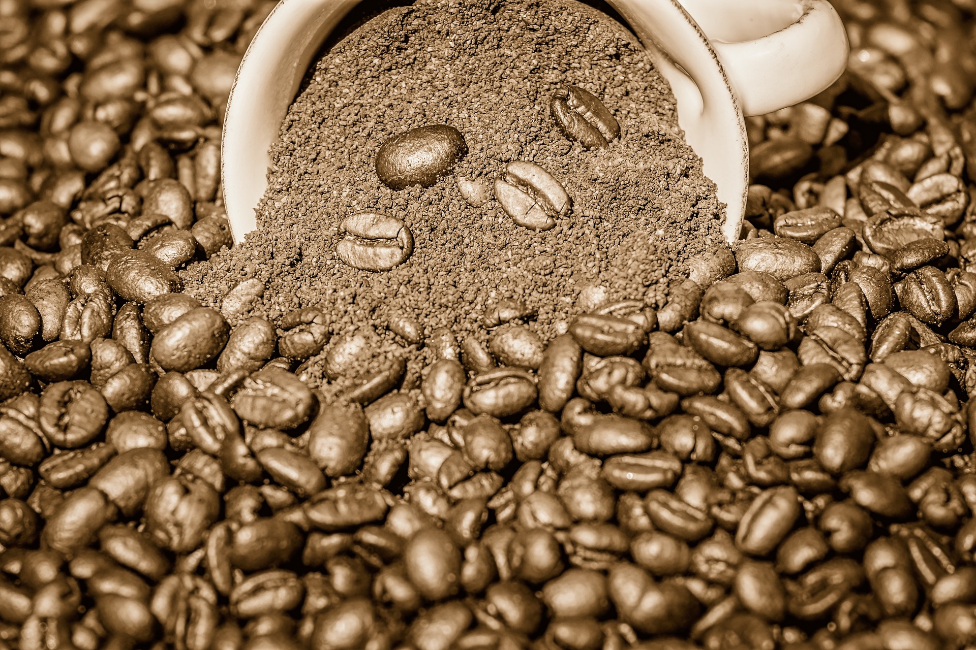 Can You Eat Coffee Grounds? Latte Love Brew