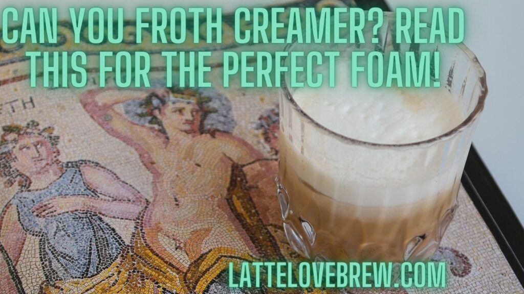 Can You Froth Creamer Read This For The Perfect Foam!