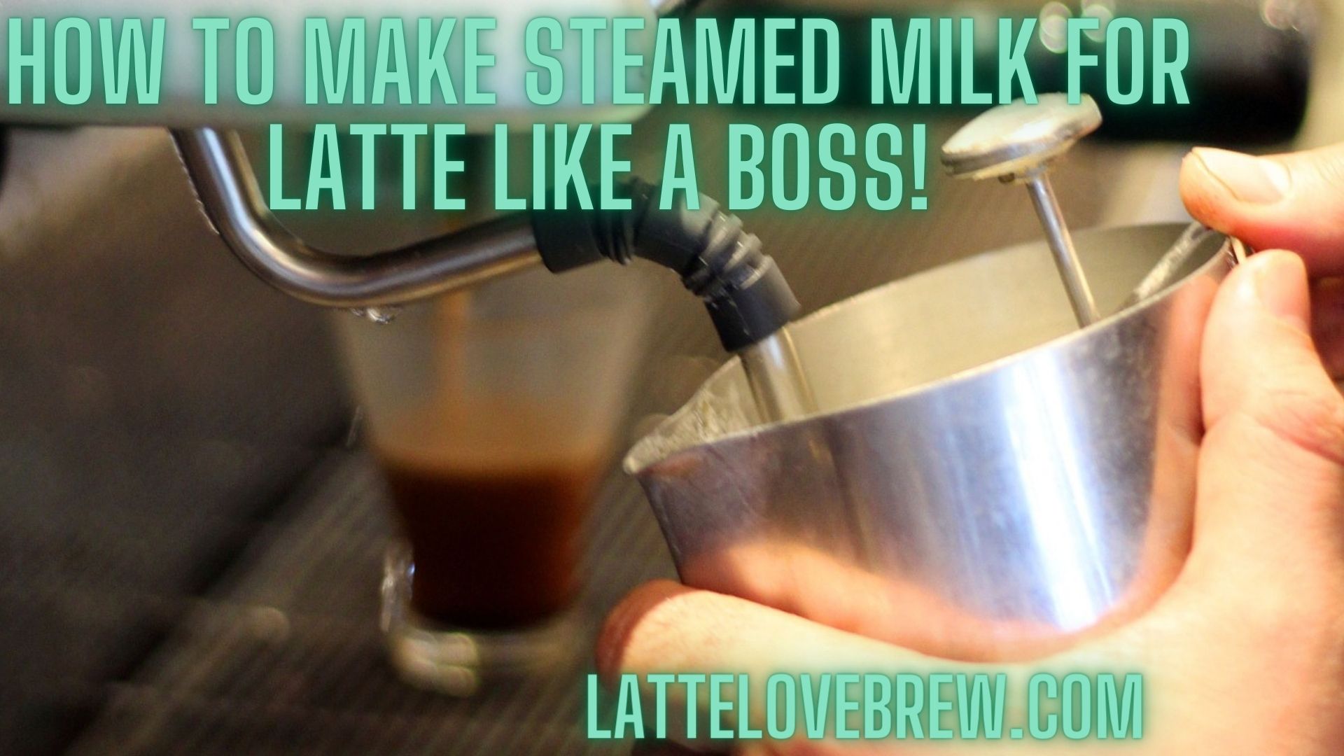 How To Make Steamed Milk For Latte Like A Boss! Latte Love Brew