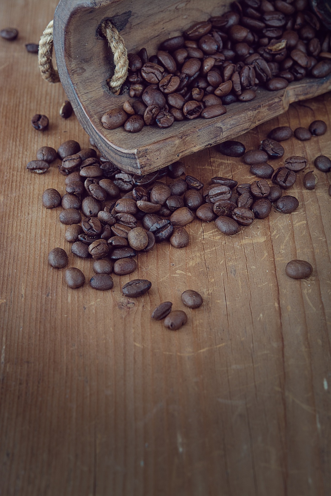 What Coffee Has The Most Caffeine? Get The Details Here! Latte Love