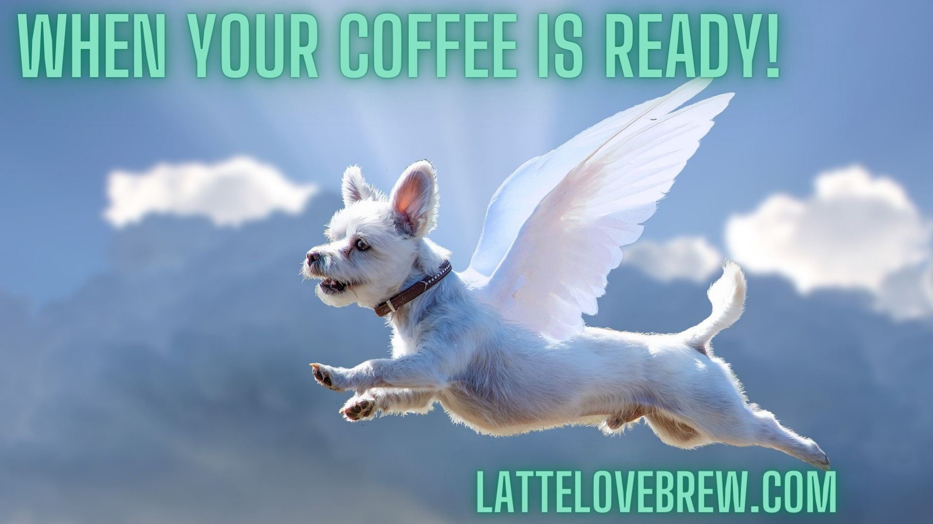 Funny Coffee Memes - To Make You Laugh And Giggle! - Latte Love Brew