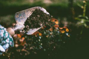 Can You Reuse Coffee Grounds For Cold Brew