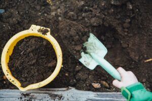 How To Use Coffee Grounds As Fertilizer