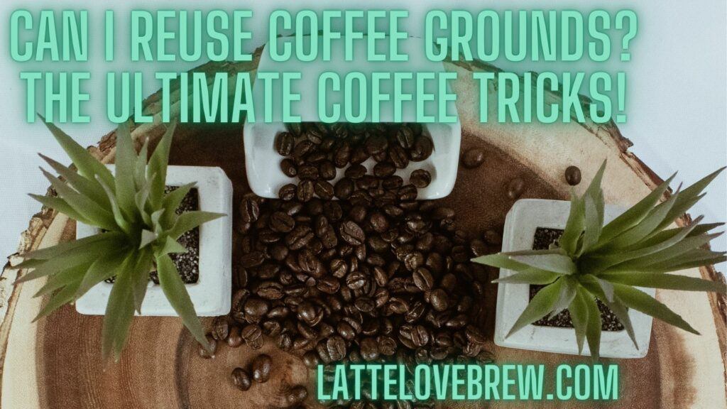 Can I Reuse Coffee Grounds The Ultimate Coffee Tricks!