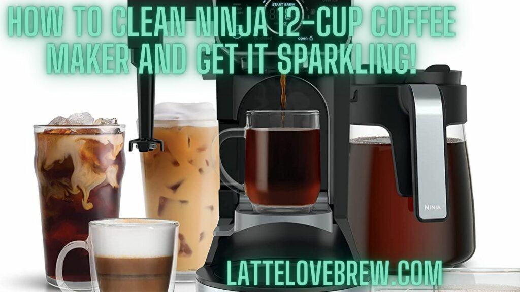 How To Clean Ninja 12-Cup Coffee Maker And Get It Sparkling!