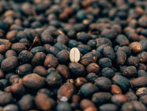 The Origins Of White Coffee