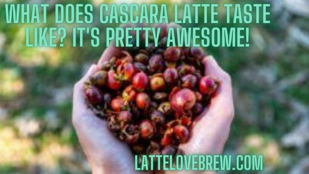 What Does Cascara Latte Taste Like It's Pretty Awesome!