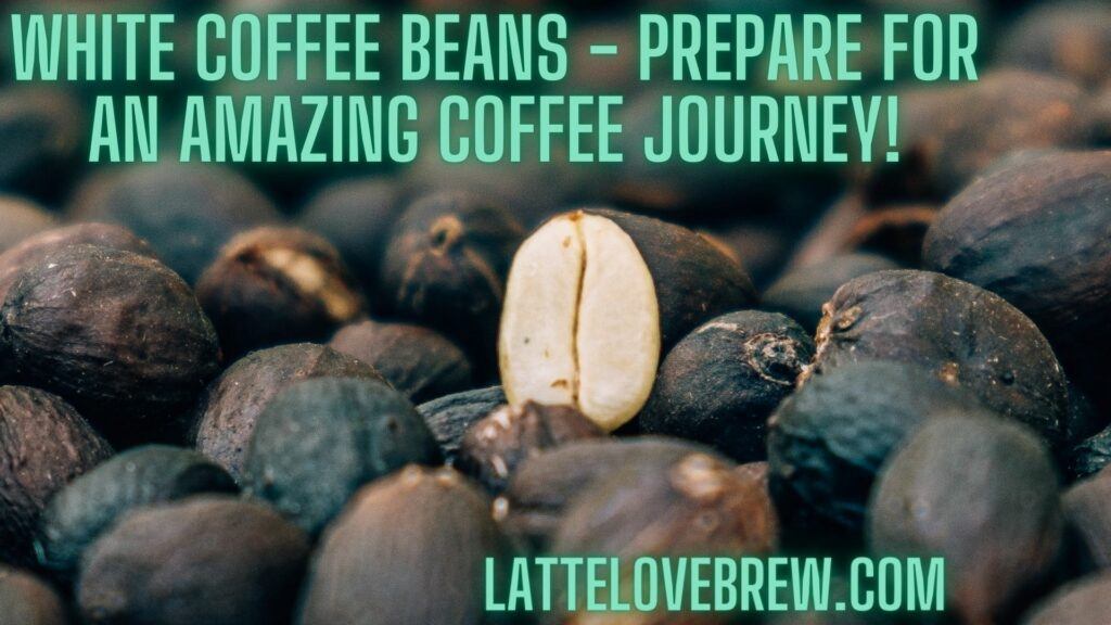 White Coffee Beans - Prepare For An Amazing Coffee Journey!